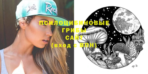 мдма Гусиноозёрск