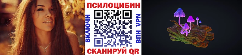 Купить закладки  Баймак  Псилоцибиновые грибы Magic Shrooms 